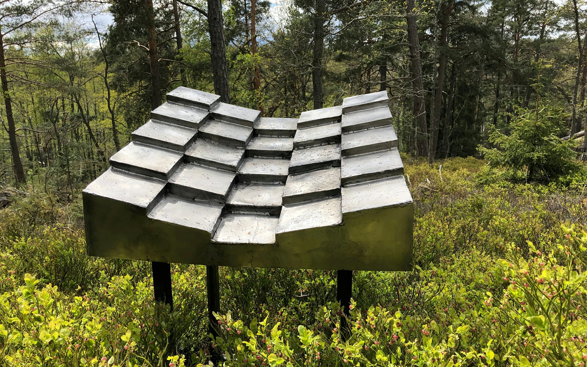 Image of Rainwaves in forest environment.